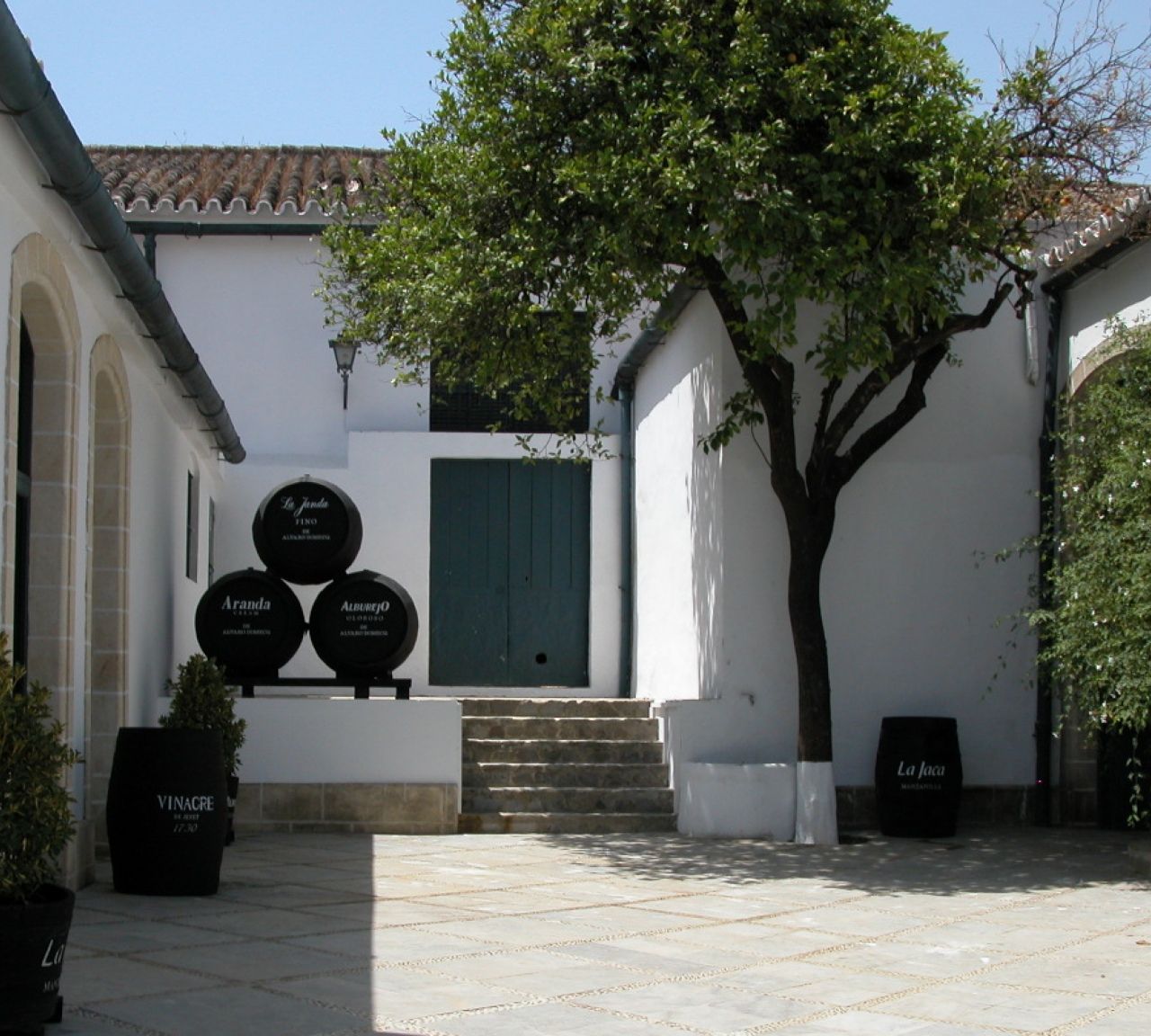 Patio en Alvaro Domecq