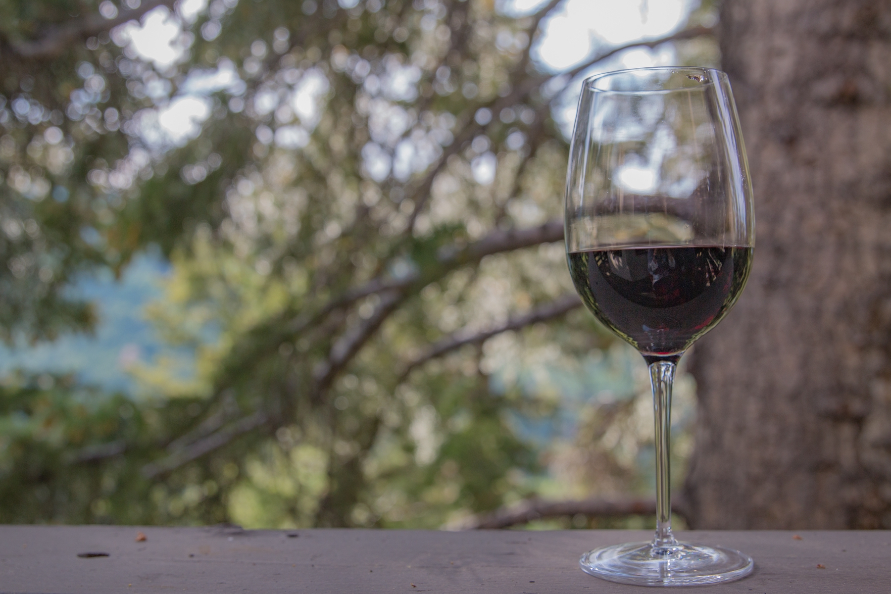 vaso de vino en entorno rural