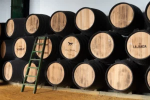 Barriles de vino apilados en nuestra bodega con una escalera de madera apoyada.