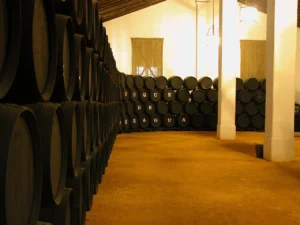 Hilera de botas jerezanas alineadas en la bodega Álvaro Domecq. Esta imagen se utiliza para ilustrar una entrada sobre por qué se pintan de negro las botas de Jerez.